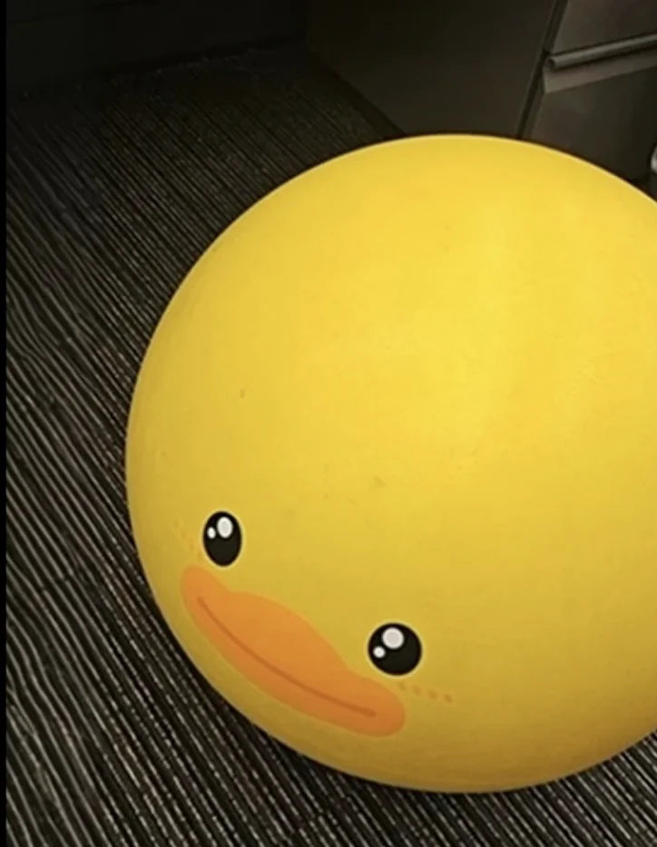 Yellow duck exercise ball shot on a phone on a patterned carpet floor