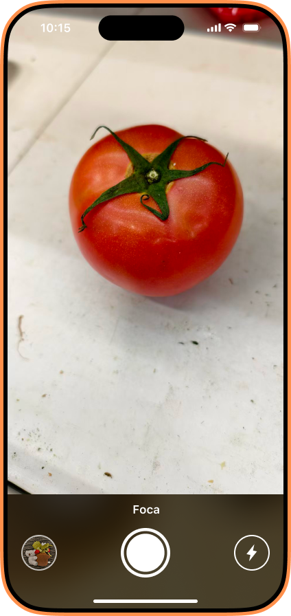Original tomato photo